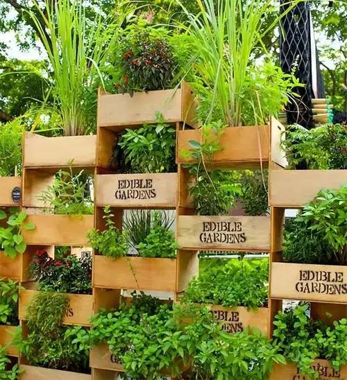 Vertical garden ideas