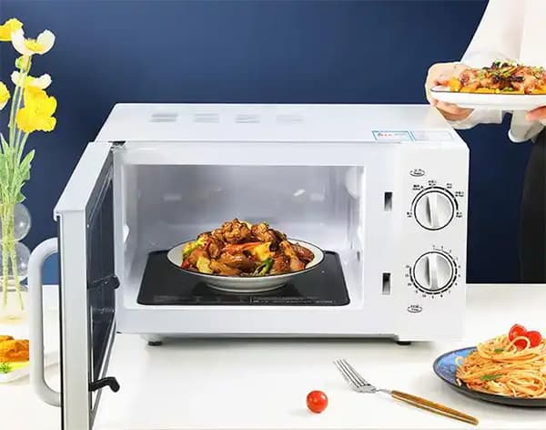 Microwave Oven Precautions