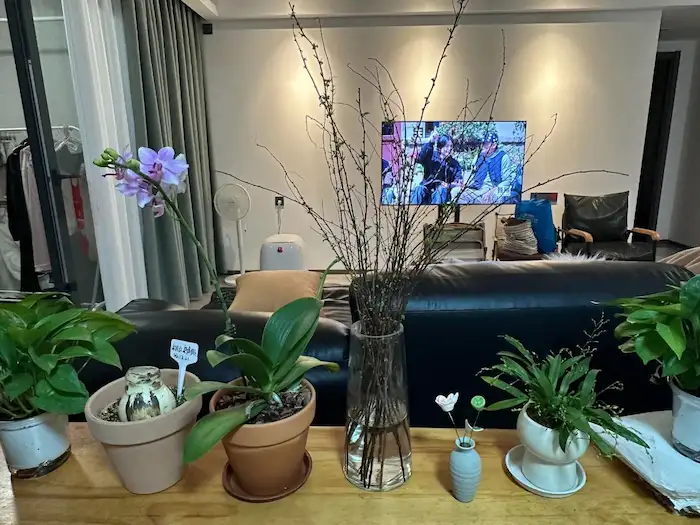 smaller plants